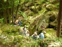 2014-06-05 15-34-51 Foret de Fontainebleau FGn